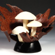 The Art Work Of Denise Nielsen and George Worthington